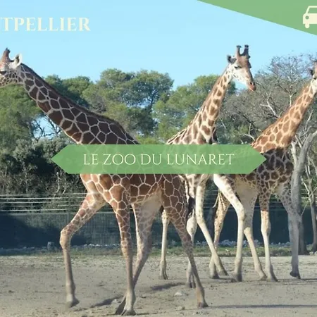 103 - La Pepite - 2 Chambres, Climatisation, Wifi, 6 Pers